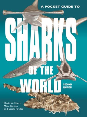 cover image of A Pocket Guide to Sharks of the World